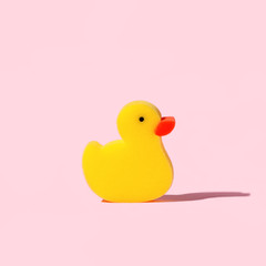 Yellow toy duck sponge or washcloth on pink background. Trendy beauty bathtime wellness hygiene photography. Bath products set, creative modern banner or flyer with copy space