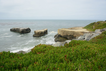 SANTA CRUZ, CALIFORNIA, USA - JULY 3, 2019: Landscape near Lighthouse Field State Beach