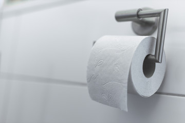 Toilet Paper on the Holder