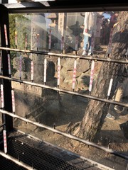 日本の神社や寺院