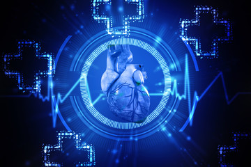 3d illustration  Anatomy of Human Heart 