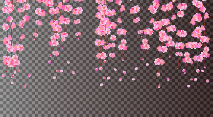 Sakura. Cherry branches with delicate pink flowers and buds. Petals fall. On a transparent background. illustration