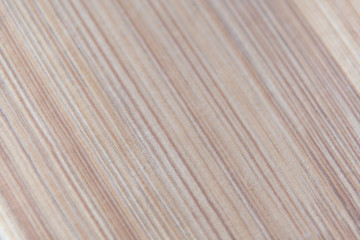 Wood texture. Old wood background. Close-up, macro photo.