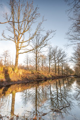 Silhouettes landscape view sunset Water reflection, a canal in a large nature reserve, Fochteloerveen, The Netherlands