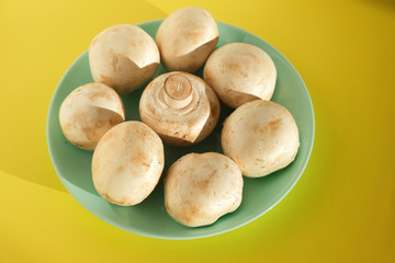 Mushrooms champignons on a yellow background