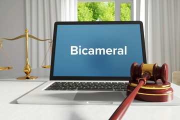 Bicameral – Law, Judgment, Web. Laptop in the office with term on the screen. Hammer, Libra, Lawyer.