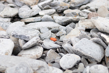 Orange stone among many gray stones and rocks
