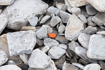 Orange stone among many gray stones and rocks