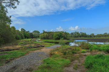 Fototapeta na wymiar Dowse Lagoon reserve in Sandgate Queensland