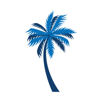tree palm exotic isolated icon vector illustration design
