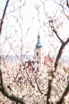 Spring in Prague, Petrin, Petrin Garden, Czech Republic, Prazske Jaro, Jaro v Praze