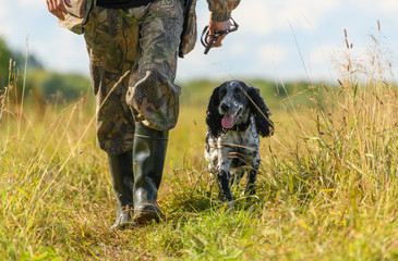 The happy hunting dog is walking next to its caucasian owner in the countryside.