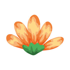 Naklejka premium cute flower yellow color isolated icon vector illustration design