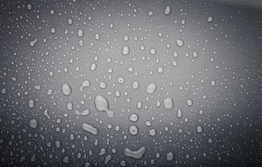 Drops of water on a color background. Grey. Toned