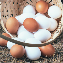 a lot of fresh chicken eggs in a straw basket on a background of hay. Healthy eating concept