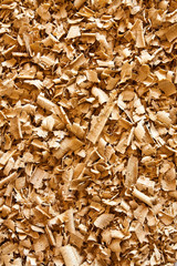 Sawdust