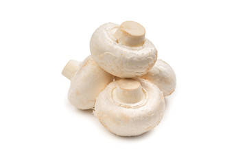 Champignon mushroom isolated on white background.