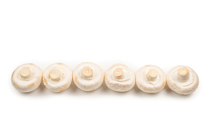 Champignon mushroom isolated on white background.