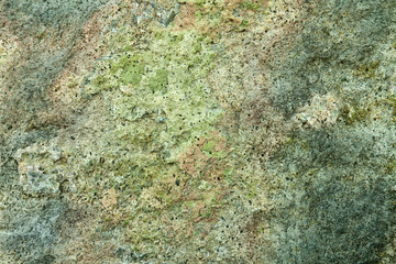 Texture on the surface of rock