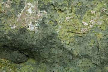 Texture on the surface of rock