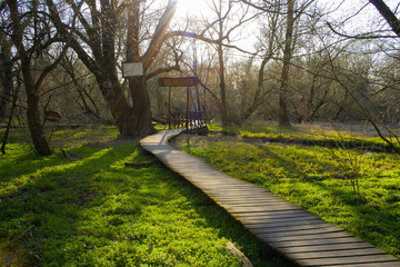 Green Walkway and Bridge
