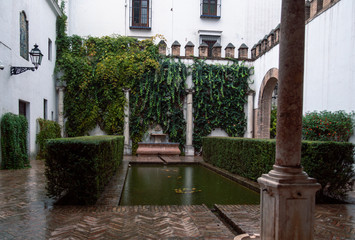 Inside garden in Seville, Spain