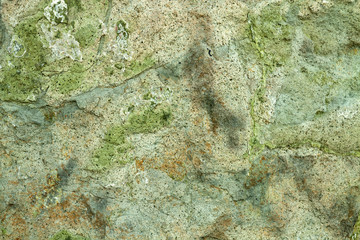 Texture on the surface of rock