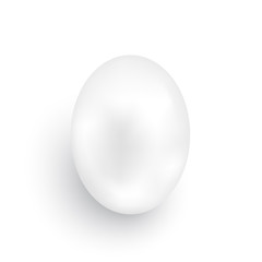 Egg. Vector illustration.