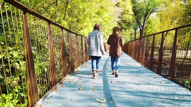 Sightseers walking across modern bridge in public park