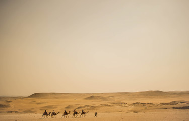 Travessia no deserto © Joo