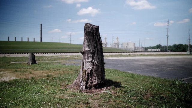 Dead tree stump in front of power station