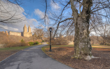 Central Park in winter