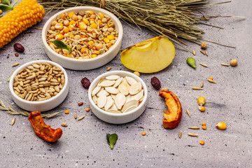 Balanced diet for domestic rodents. Assorted mix of grain and seeds, dry herbs, fresh fruits