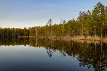 Beautiful calm lake with forest reflection during mid day sun.