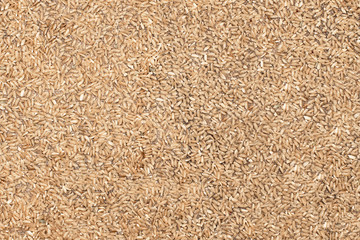 Background of raw white rice. Rice background