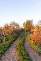 road in the farm