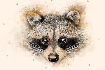 Illustration drawn by hand with a head and a portrait of a raccoon