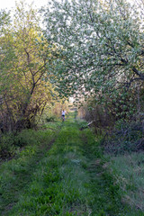 Young Woman cycling on a Russian dacha road