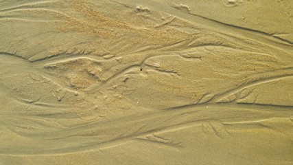 모래 위에 생긴 물줄기