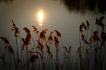 Chorzow slask Polska, zachód słońca na jeziorem