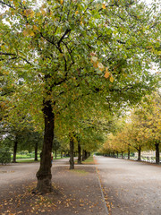 Naklejka premium Munich, Germanu - Oct 4th, 2019:The Hofgarten is a garden in the center of Munich, Germany, located between the Residenz and the Englischer Garten.