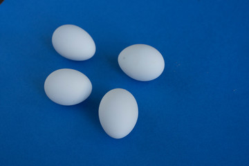 White eggs on blue and yellow background