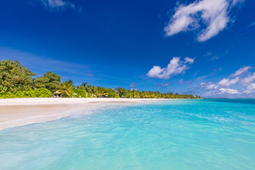Fototapeta na wymiar Maldives paradise beach. Perfect tropical island. Beautiful palm trees and tropical beach. Moody blue sky and blue lagoon. Luxury travel summer holiday background concept.
