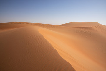 Fototapeta na wymiar Abstract landscape with desert dunes on a sunny day. Liwa desert, Abu Dhabi, United Arab Emirates.