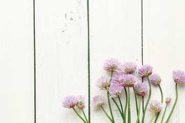 Schnittlauch Frisch Blüte Blüten 
