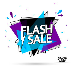 Flash Sale, banner design template, extra promotion, fast offer, discount tag, app icon, vector illustration