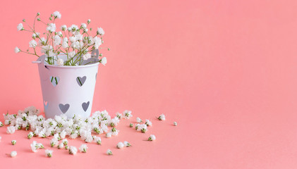 Small white flowers in a bucket  on a pink background