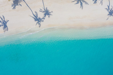 Aerial beach landscape. Minimalist beach view from drone or airplane, palm shadows in white sand near blue sea with beautiful ripples and waves. Perfect summer beach landscape banner. Exotic blue sea