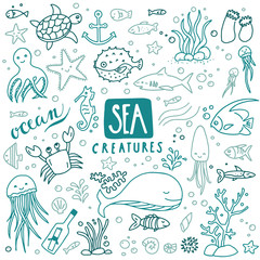 Sea Creatures Doodles Colored