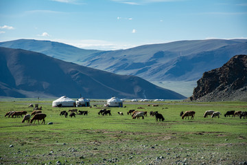 The view of the mountain range, Mongolian landscapes of Altai. Dry mountainsides, summer sunny view.